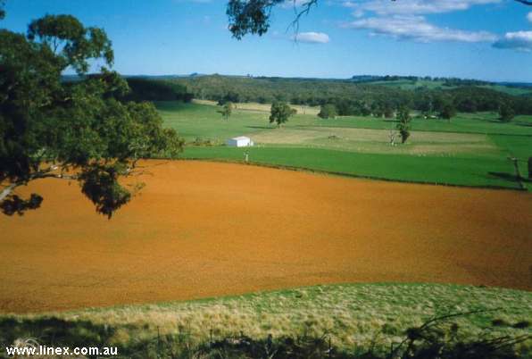 Mt_Franklin_soil.jpg (27597 bytes)